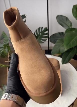 Ugg dipper mini 6