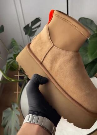 Ugg dipper mini 5