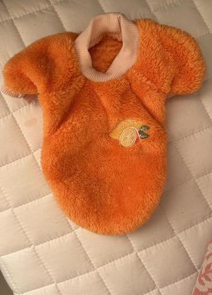 Кофтинка для собачок