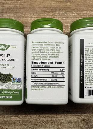 Kelp, кельп, ламинария, йод