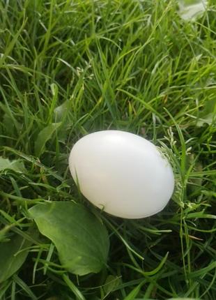 Игрушечное пластиковое яйцо 🥚 1:1 овощи фрукты игрушечные
