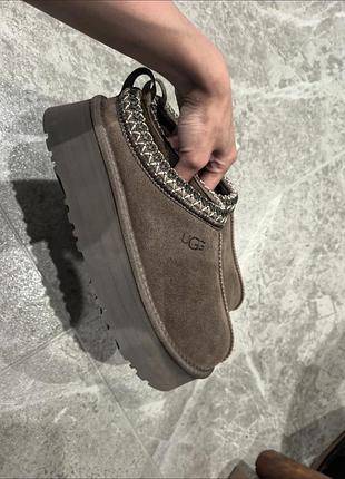 Красиві коричневі угги таз на платформі ugg tazz platform