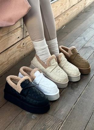 Автоледи зима