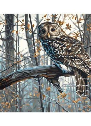 Картина по номерам "зимняя сова" 40х50 см