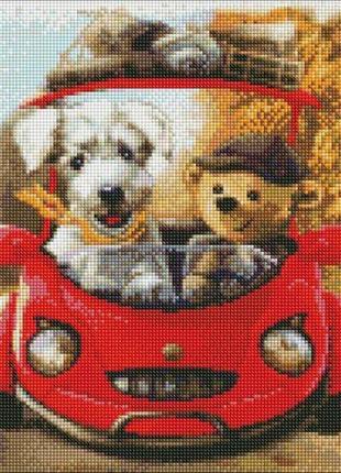 Алмазна мозаїка "дружня подорож" 40х40 см