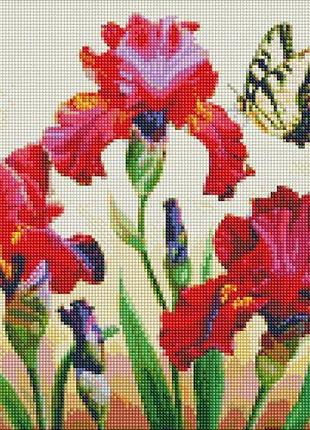 Алмазна мозаїка "вишукані іриси"