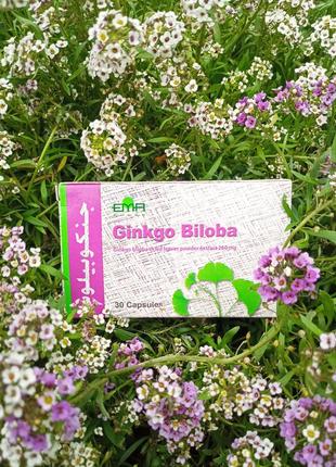 Гинкго билоба египет (ginkgo biloba) 30 капсул