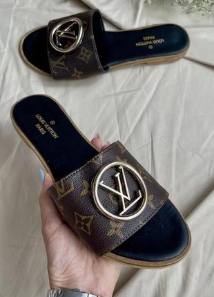 Louis vuitton slides big logo ‘brown’