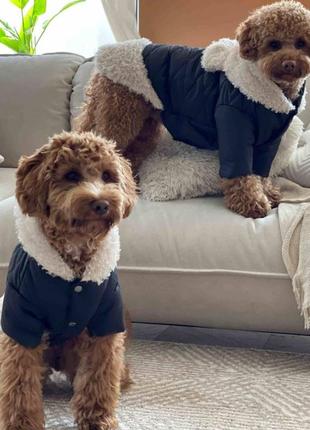 Зимняя одежда куртка для собак, зимняя куртка для собаки на меху теплая на зиму с капюшоном для девочек черная