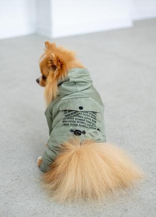 Водостойкая одежда для собак дождевик на кнопках с капюшоном на подкладке с водоотталкивающей пропиткой оливко5 фото