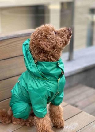 Водостійкий одяг для собак плащ дощовик із прихованим каптуром на підкладці з водовідштовхувальним просоченням5 фото