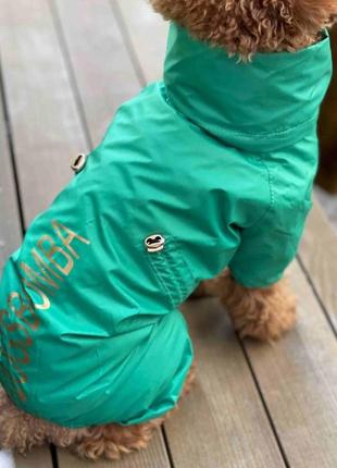 Водостійкий одяг для собак плащ дощовик із прихованим каптуром на підкладці з водовідштовхувальним просоченням6 фото