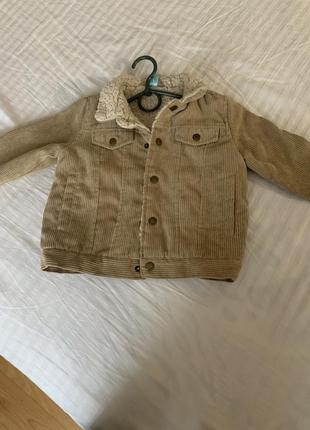 Вельветова вітровка