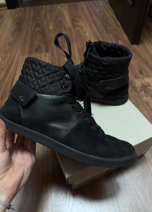 Черевики лакост