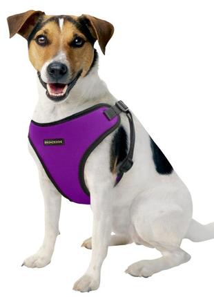 М’яка шлейка для собак маленьких порід, шлячи для дрібних порід неопрен 3d сітка фіолетова