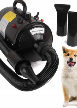 Фен компресор для сушіння собак pet dryer qy-1091b