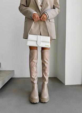 Женские демисезонные ботфорты