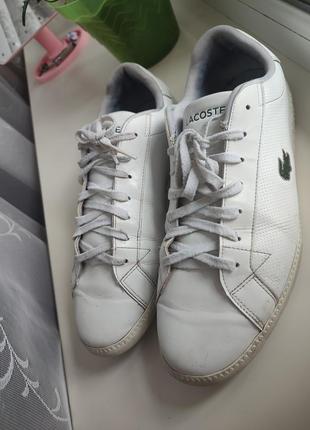 Кроссовки мужские lacoste