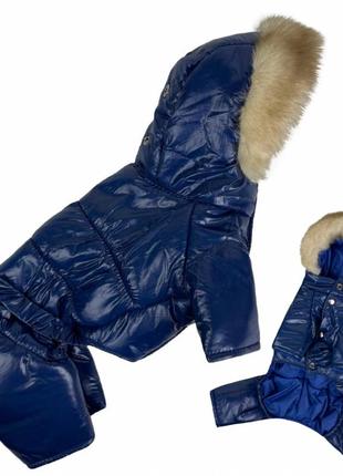 Зимовий одяг костюм для собак, зимовий комбінезон для собак теплий лакований на зиму синій унісекс