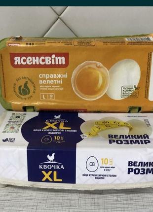Лотки для яиц пластиковые и картонные