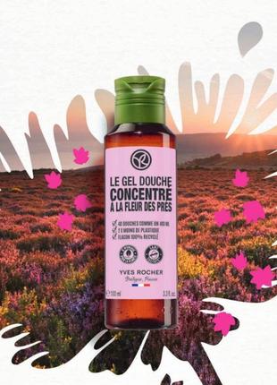 Концентрований гель для душу лугові квіти від yves rocher