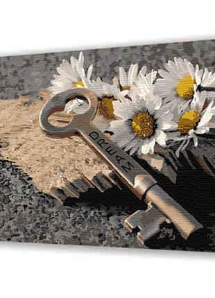 Картина по номерам "открой мечту" 40х50 см