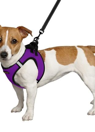 Мягкая светоотражающая шлейка для собак средних и маленьких пород, шлея для мелких и средних пород фиолетовая