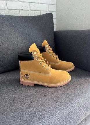 Timberland beige