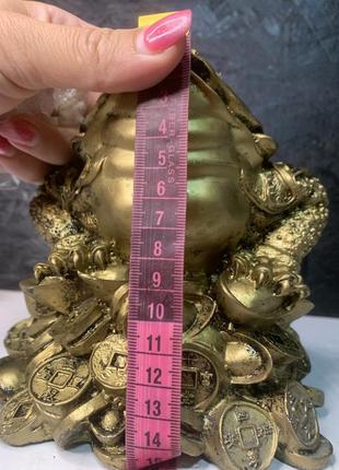 Денежная лягушка, есть нюансы