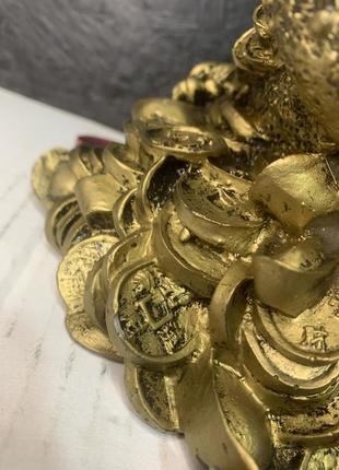 Денежная лягушка, есть нюансы