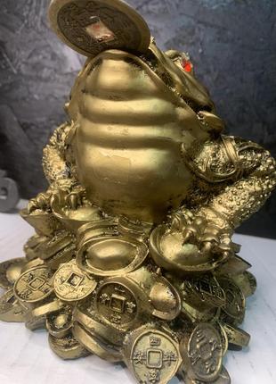 Денежная лягушка, есть нюансы