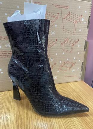 Стильные сапоги topshop