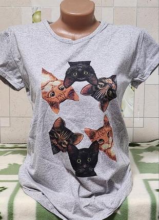Футболк"котики"
