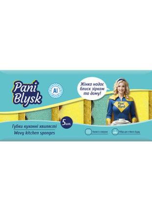 Губки кухонные pani blysk волнистые 5 шт. (4823071661231)