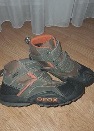 Демісезонні черевики geox 31 розмір