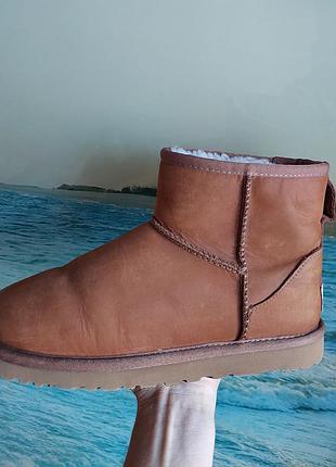 Кожаные угги ugg,37 р