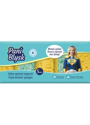 Губки кухонные pani blysk пористые 5 шт. (4823071661194)