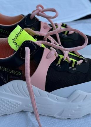 Кросівки жіночі steve madden