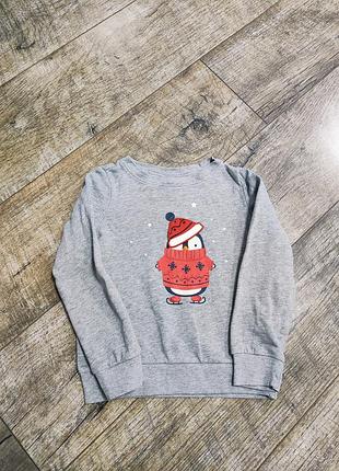 Свитшот, кофта утепленная, с начесом, alive, р. 98-104, 3-4 года