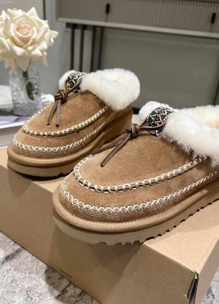 Сапоги ботинки угги ugg