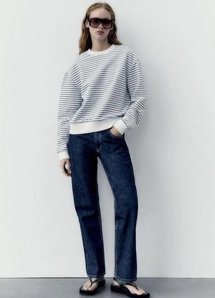 Світшот zara, світшот в смужку zara, світшот жіночий zara
