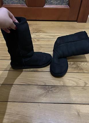 Чоботи ugg