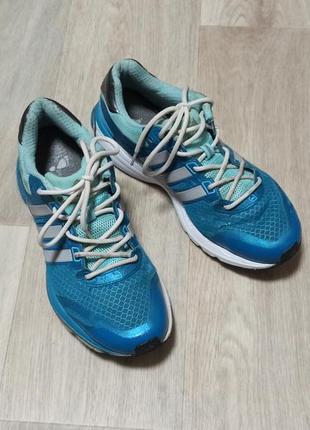 Кросівки Термо-черевики adidas choleah