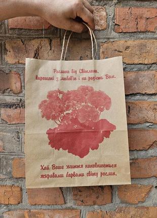 Бумажный пакет в*ш*г 215*90*65 с ручками