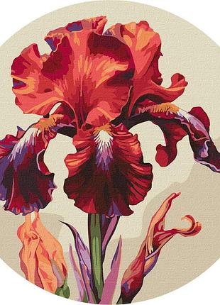 Картина за номерами чарівний ірис ©art_selena_ua kho-r1023 діаметр 33, найкраща ціна