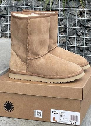 Ugg ботінки 25 см устілка