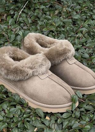 Зимові уггі slip-on ugg neumel light grey на овчині
