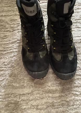 Bamatex check
