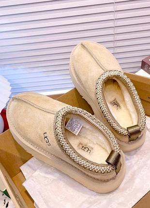 Ugg 6