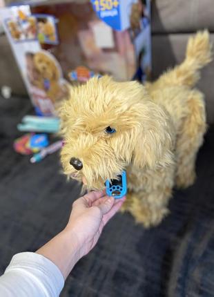 Інтерактивна іграшка – лабрадудель moji